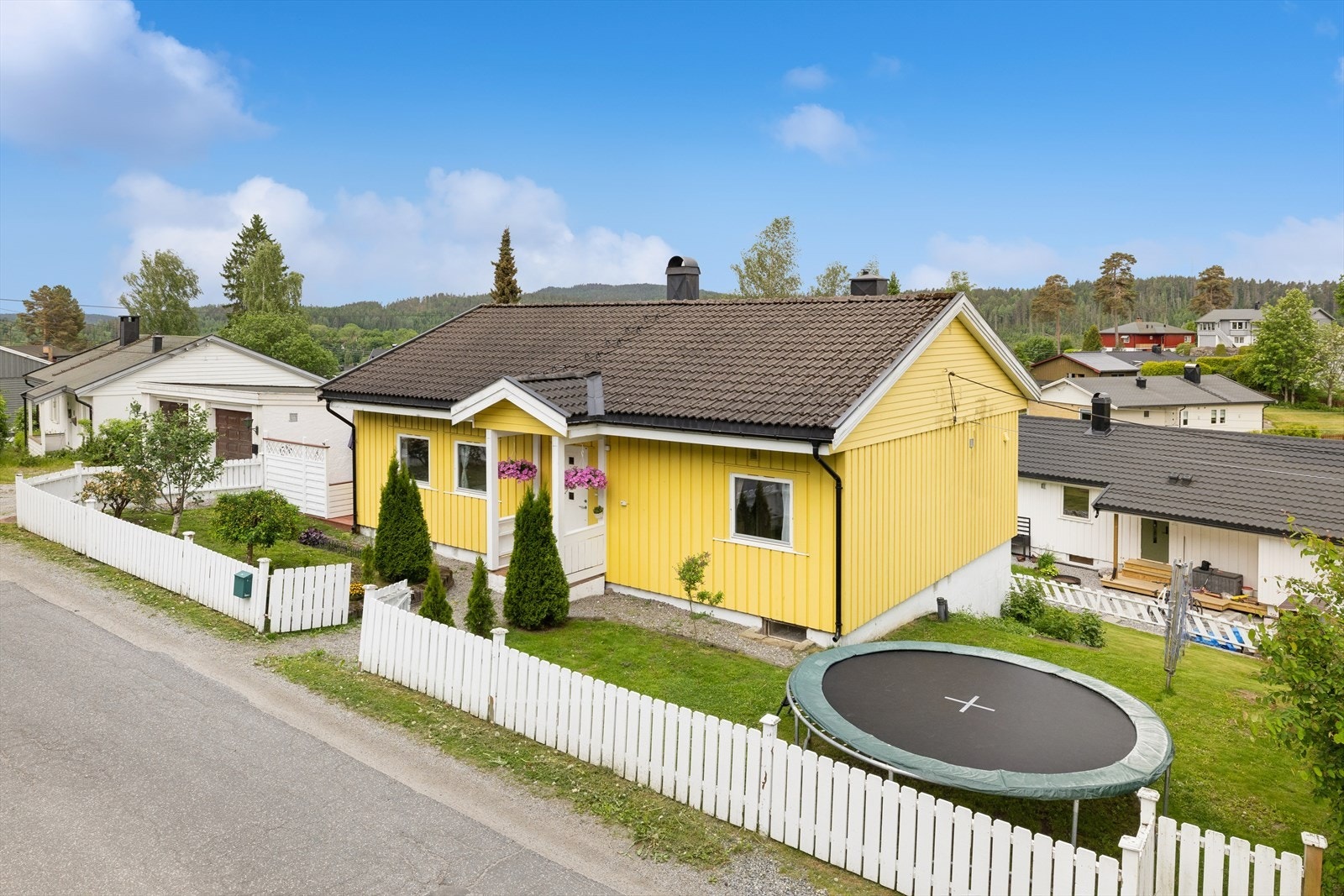 Pent opparbeidet tomt med plen, prydbusker og biloppstillingsplass. Galleribilde