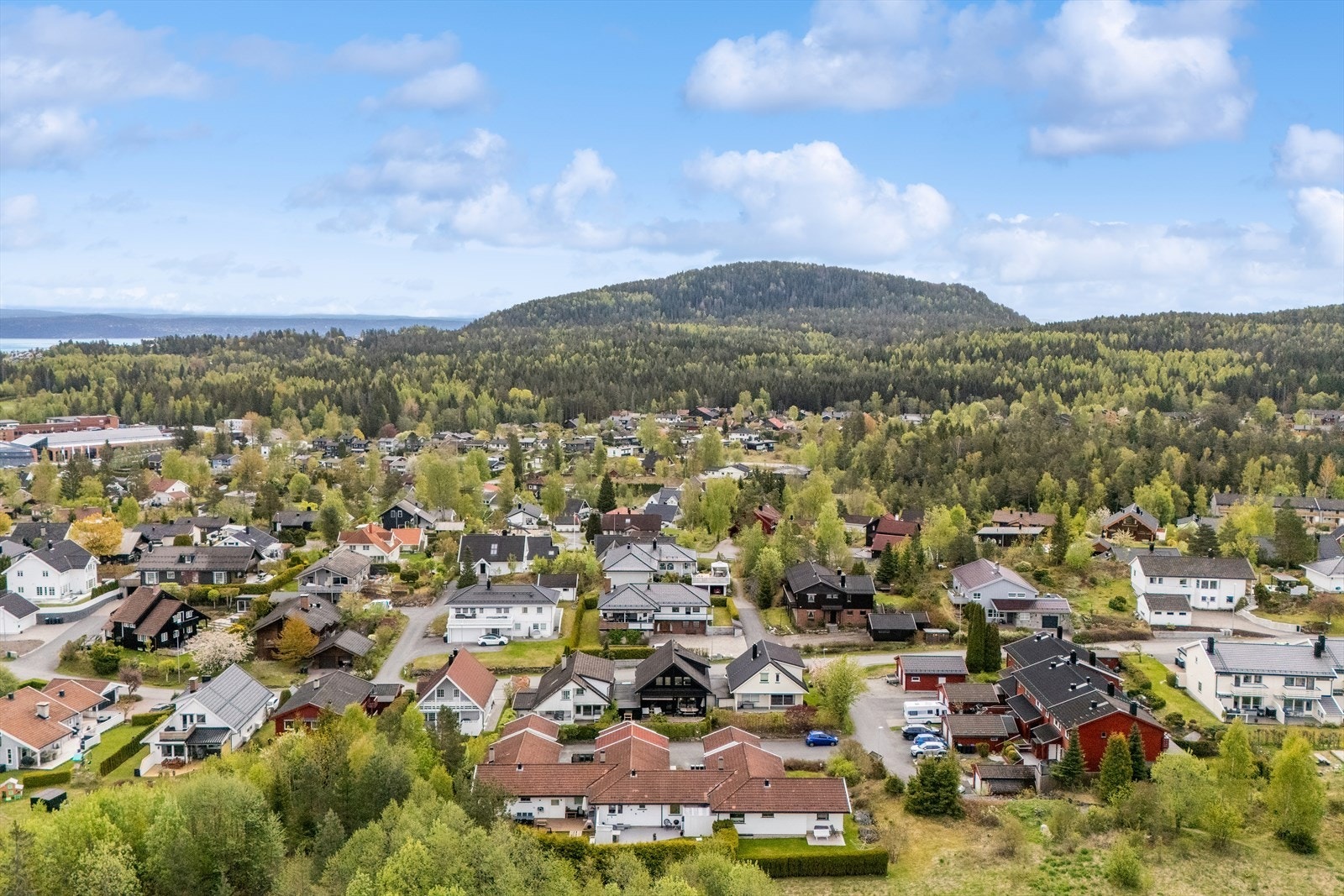 Svært barnevennlig nabolag. Galleribilde