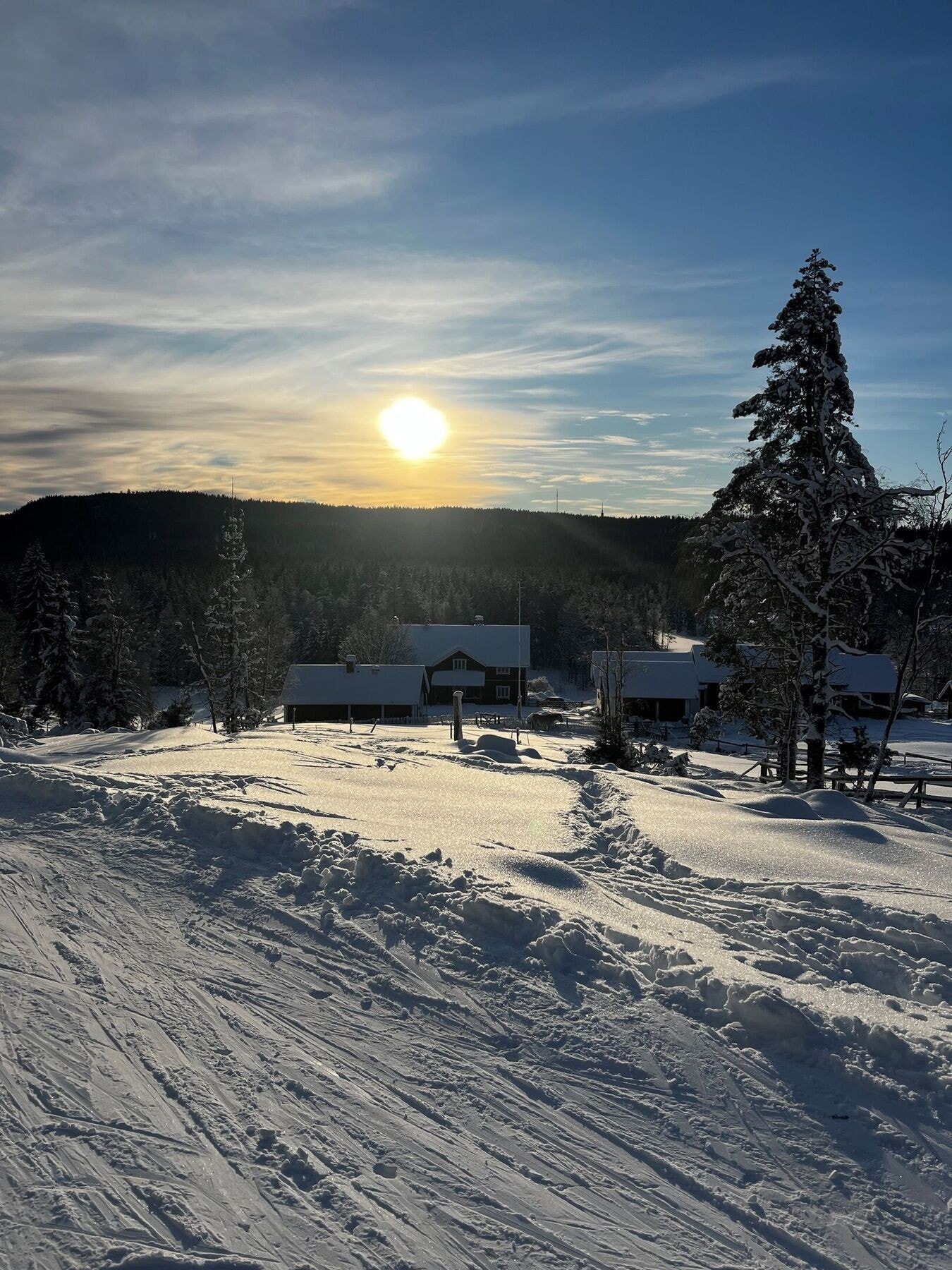 Fra leiligheten kan du nærmest ta på skiene utenfor ytterdøren og gå ut i fantastiske skiløyper på vinteren Galleribilde