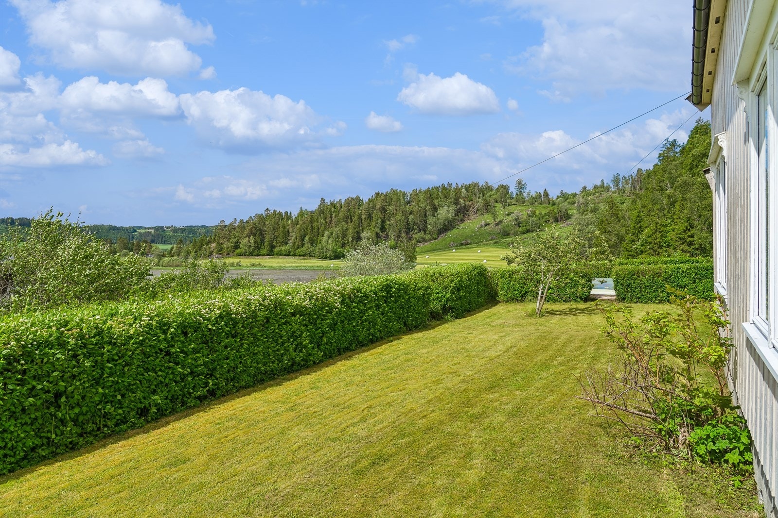 Ute Galleribilde