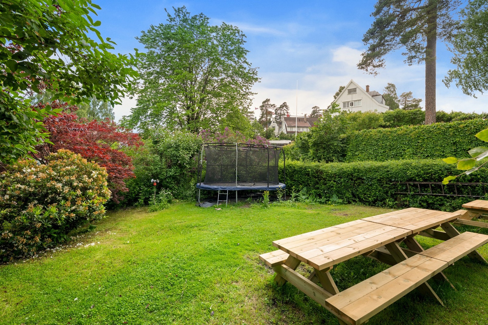 Hyggelige fellesarealer med bl.a. trampoline. Galleribilde