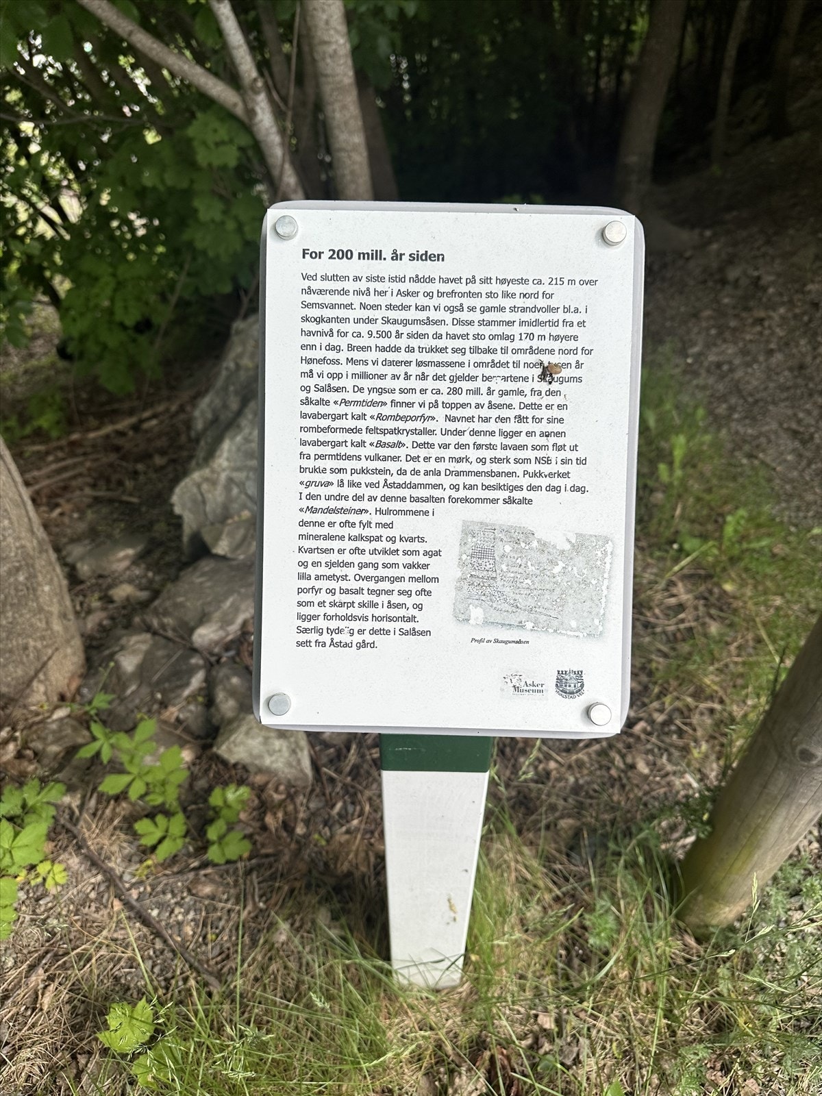Nærheten til kulturlandskapet gir unike naturopplevelser. Galleribilde