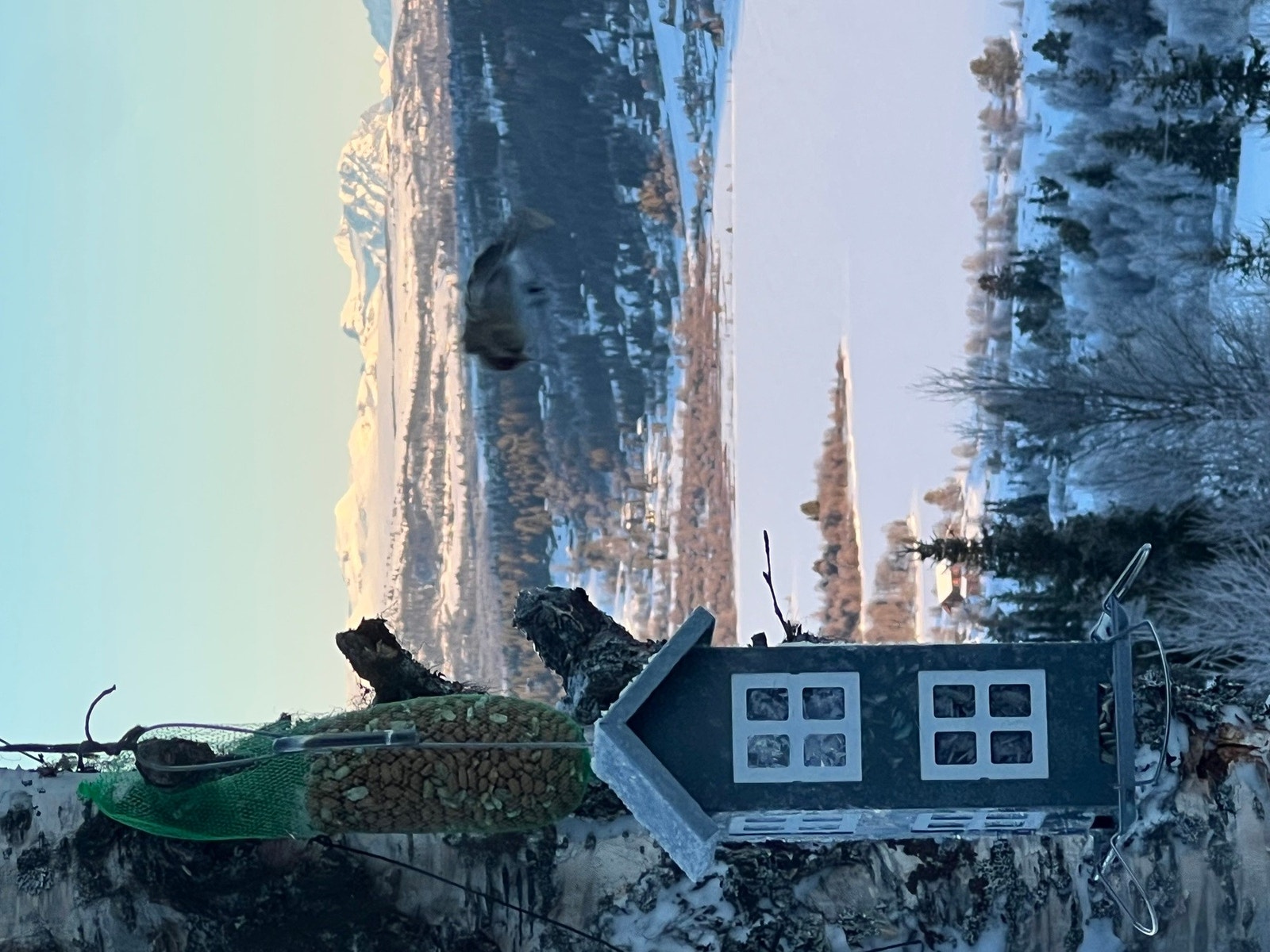 Bilde fra selgers arkiv Galleribilde