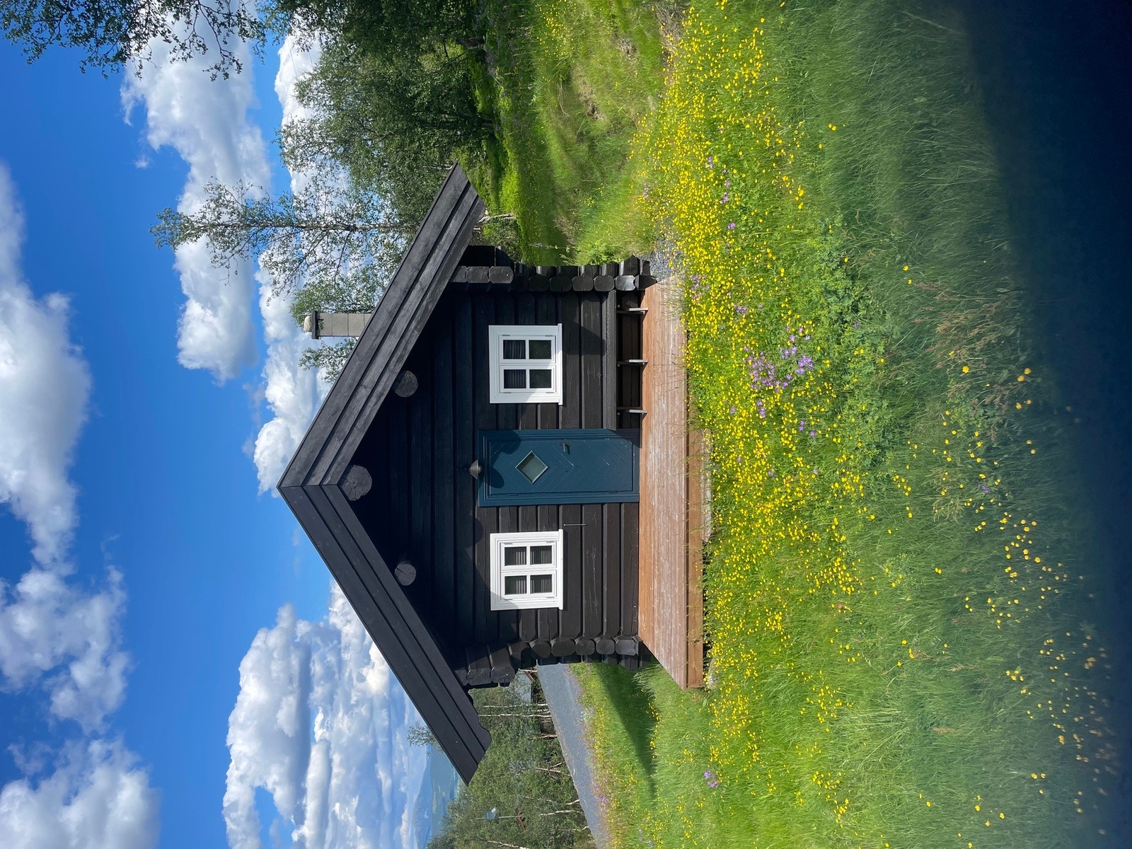 Bilde fra selgers arkiv Galleribilde