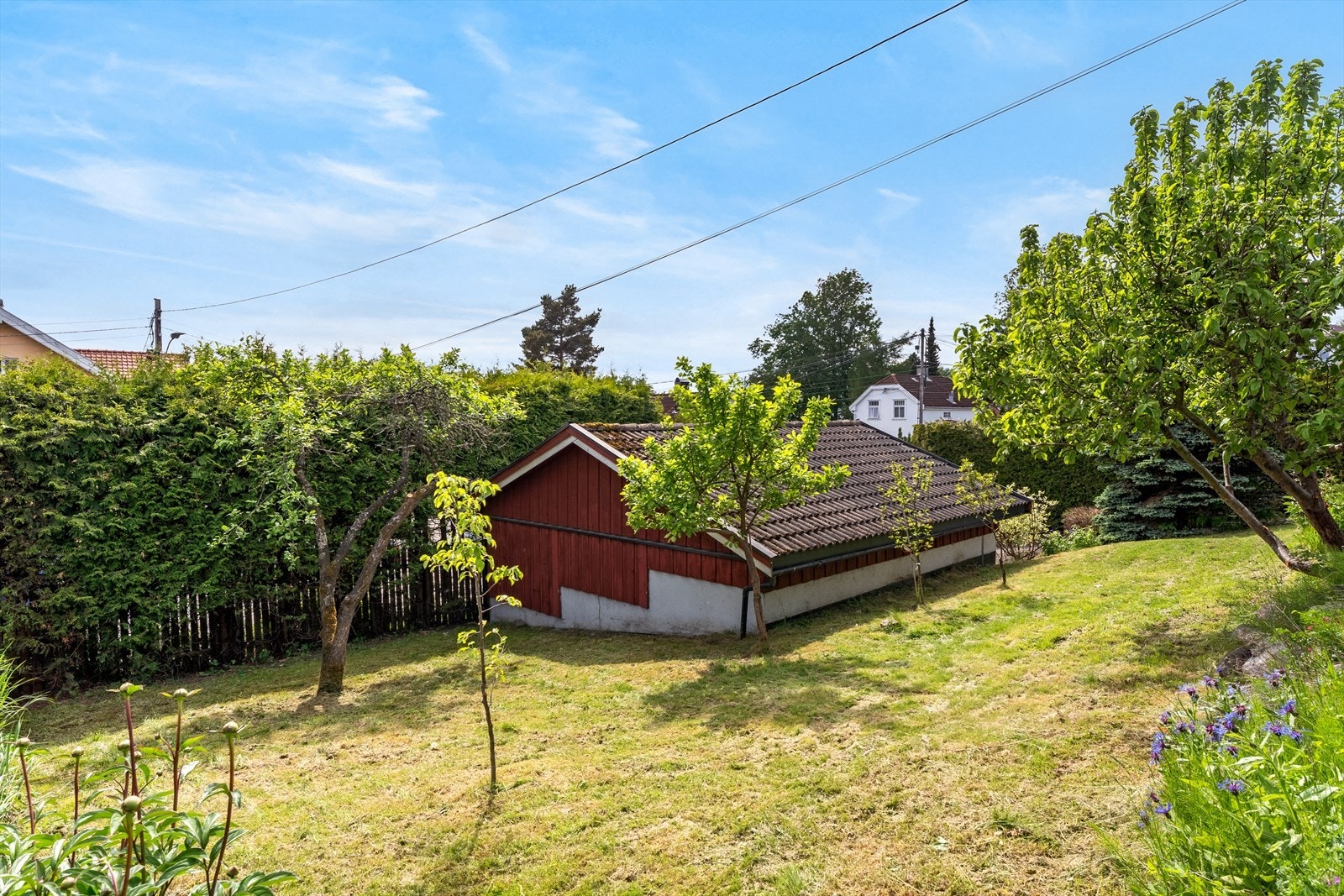 Seksjonens hageareal. Galleribilde