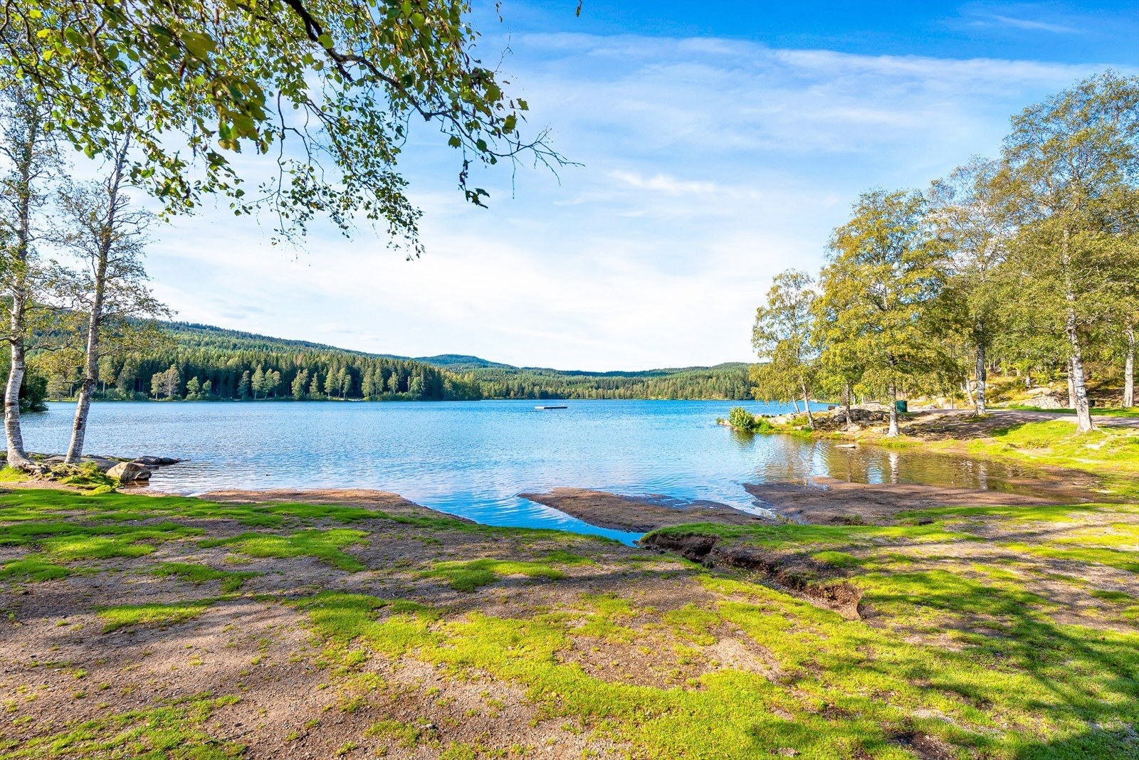 Nærområdet | Idylliske Sognsvann. Galleribilde