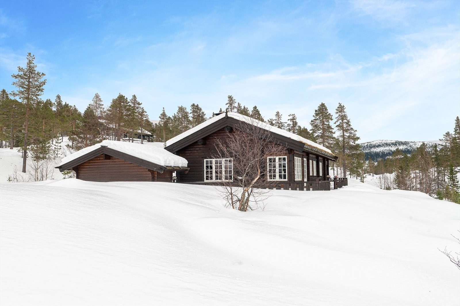 Tuddal ligger på solsiden av Telemarks høyeste fjell, Gaustatoppen (1883 moh.) og naturen her er typisk for Øvre Telemark. Galleribilde