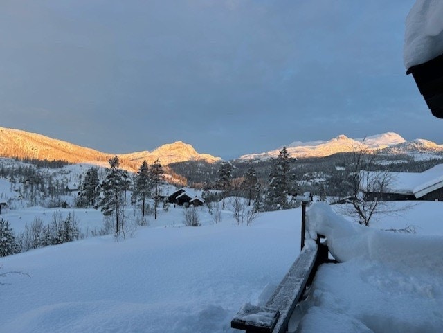 Selgers bilde. Bonsnos, Gaustaknea og Gaustatoppen Galleribilde