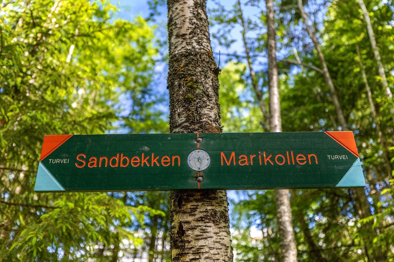 Gode rekreasjonsmuligheter sommer som vinter, med turveier til Sandbekken og Marikollen. Galleribilde