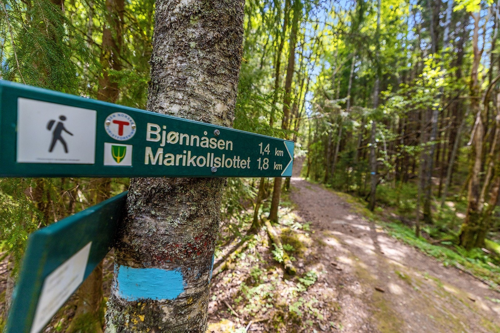 Turstiene starter rett i nærheten og leder inn i marka, med merkede løyper til blant annet Bjønnåsen og Marikollslottet. Galleribilde