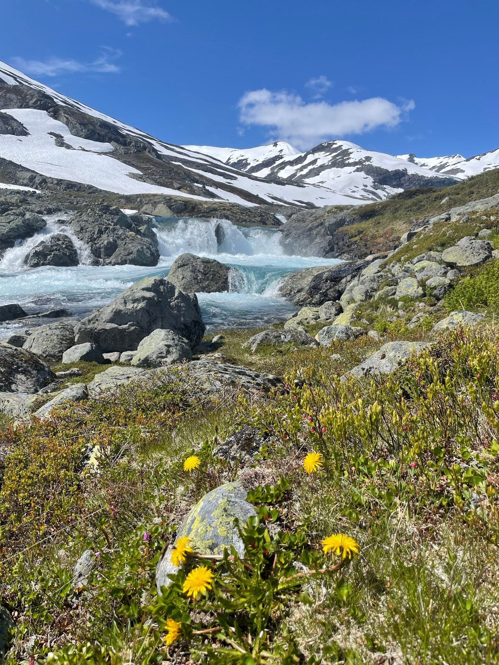 Koldedalen Galleribilde