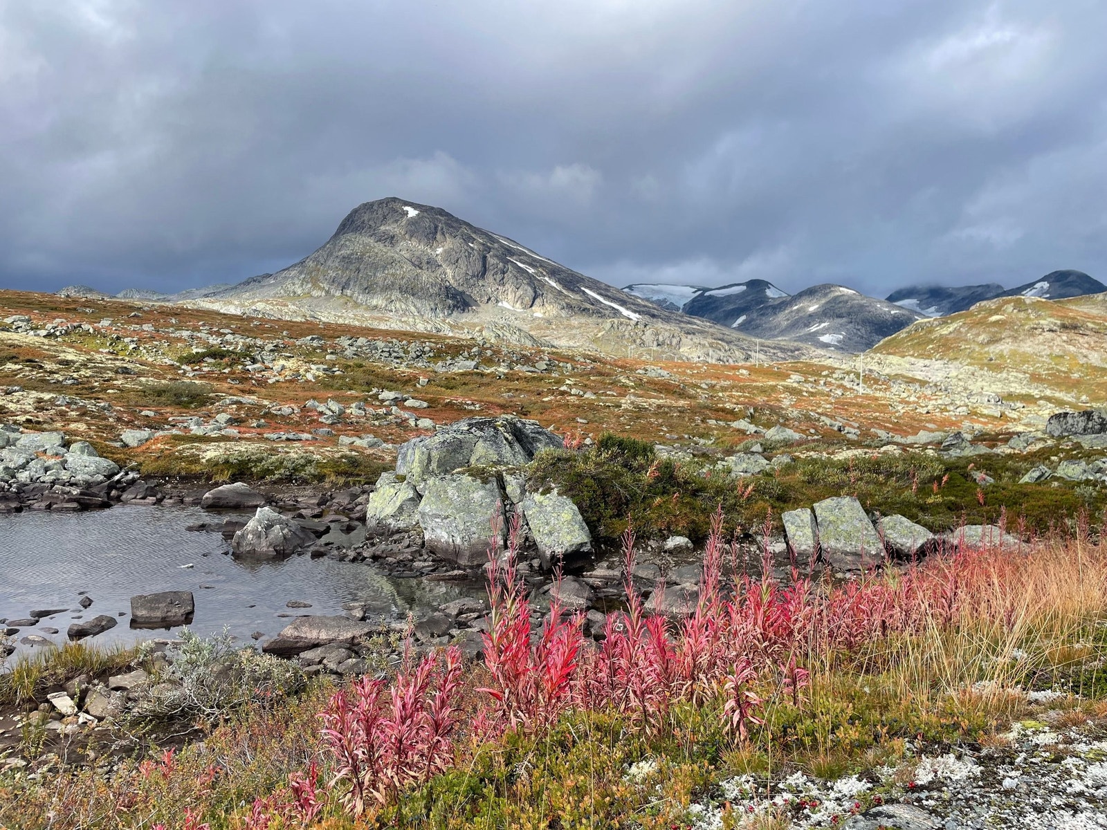 Vakre Koldedalen Galleribilde