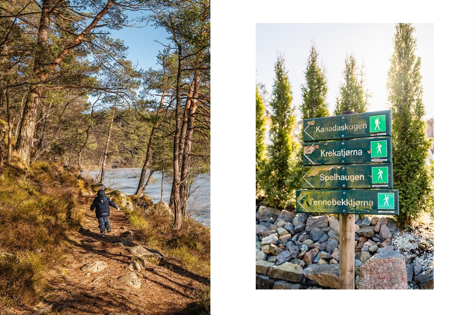 Flere turmuligheter i nærområdet. Galleribilde