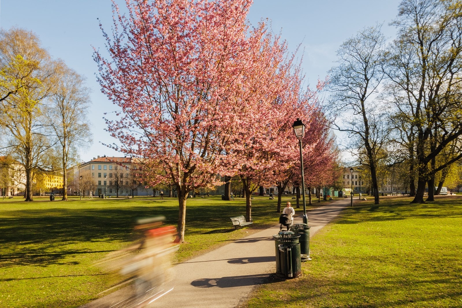 Flere av byens hyggelige grøntområder ligger i nærheten, med blant annet Sofienbergparken som et naturlig samlingspunkt for solrike dager, trening og avslapping. Galleribilde