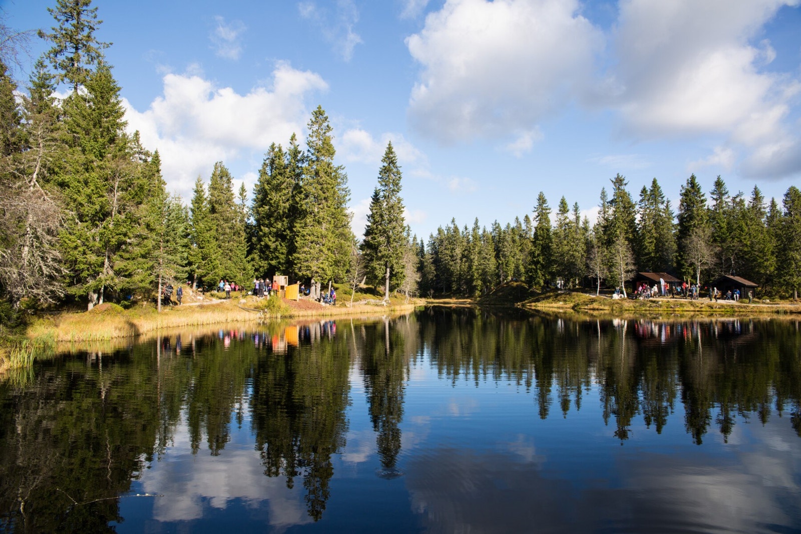 Koiedalen med lekeapparater, badeplass, grillmuligheter og koselige skogsbilveier/naturstier. Galleribilde