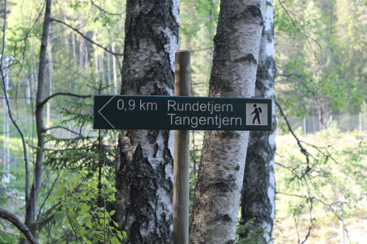 Gode turmuligheter Galleribilde