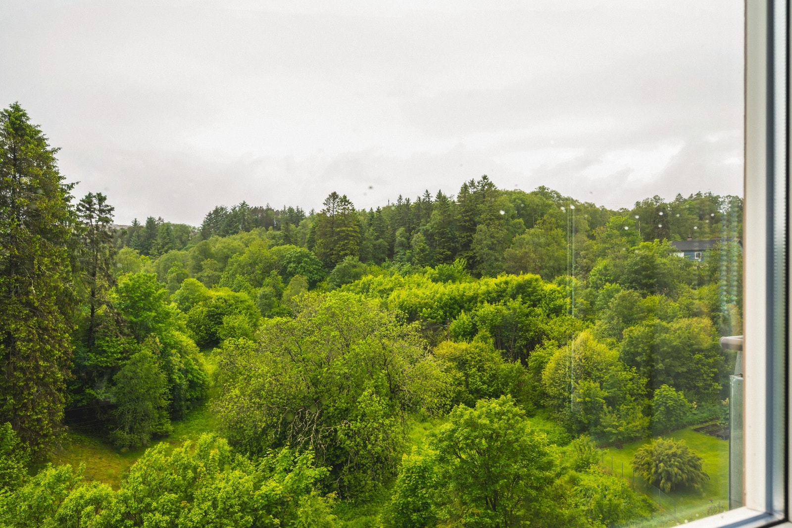 Fra sofaen kan du slappe av og nyte en fredfull utsikt mot naturen Galleribilde