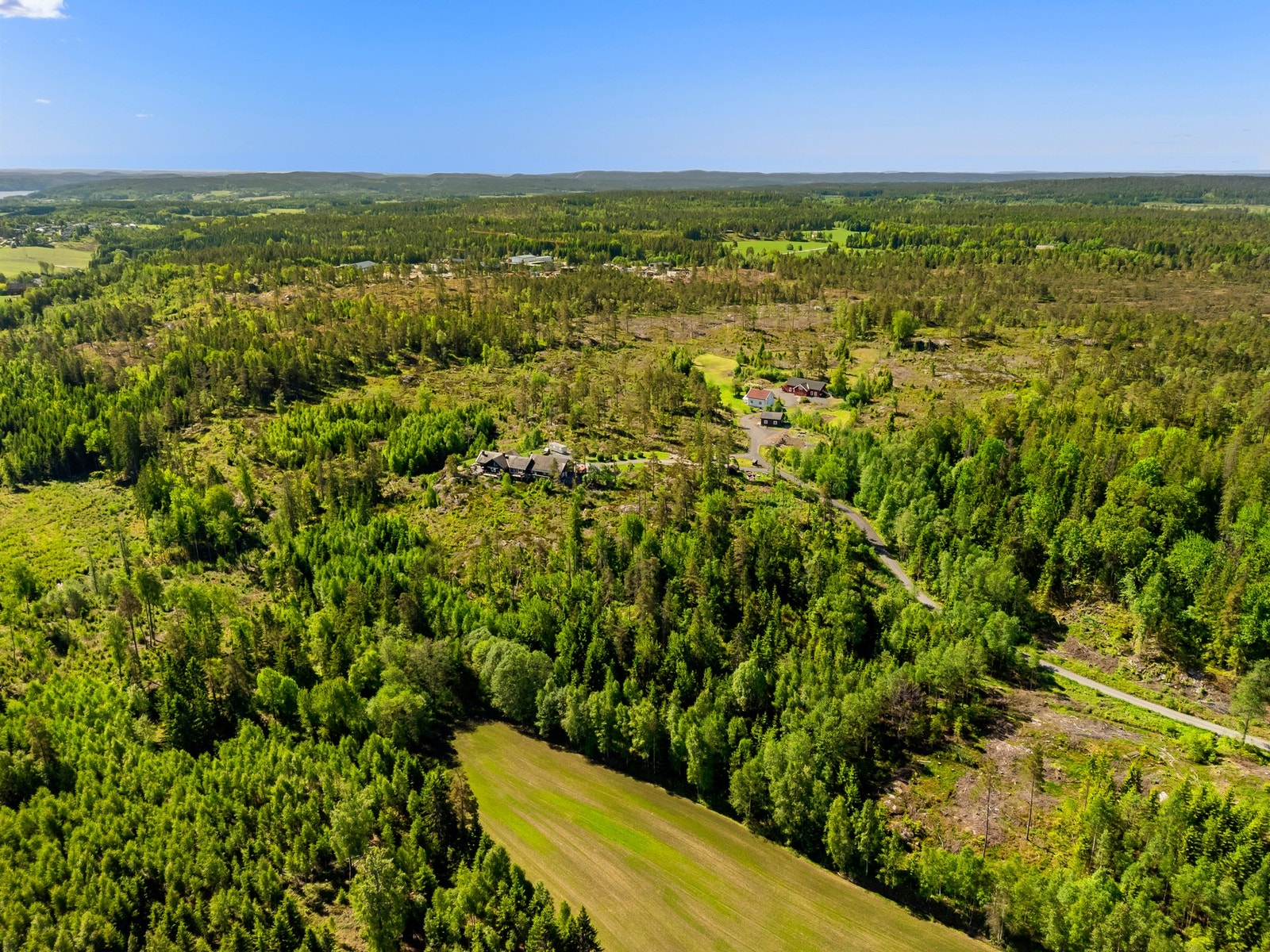 Drone. Galleribilde