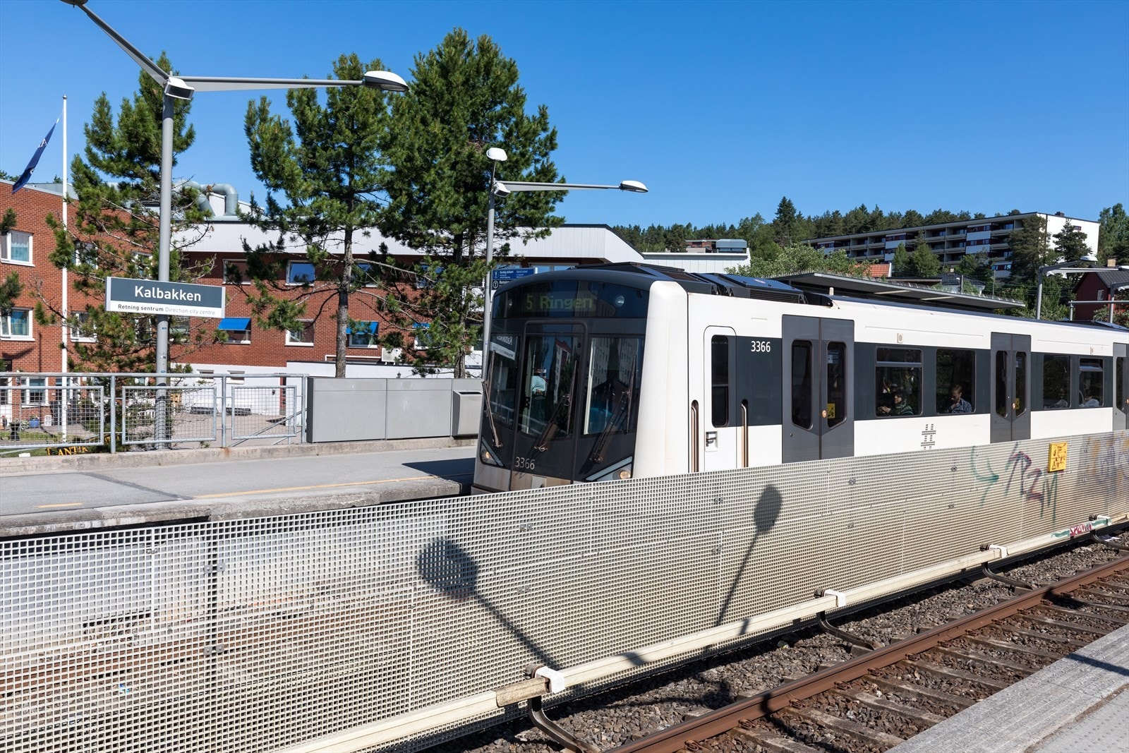 Områdebilde. Galleribilde