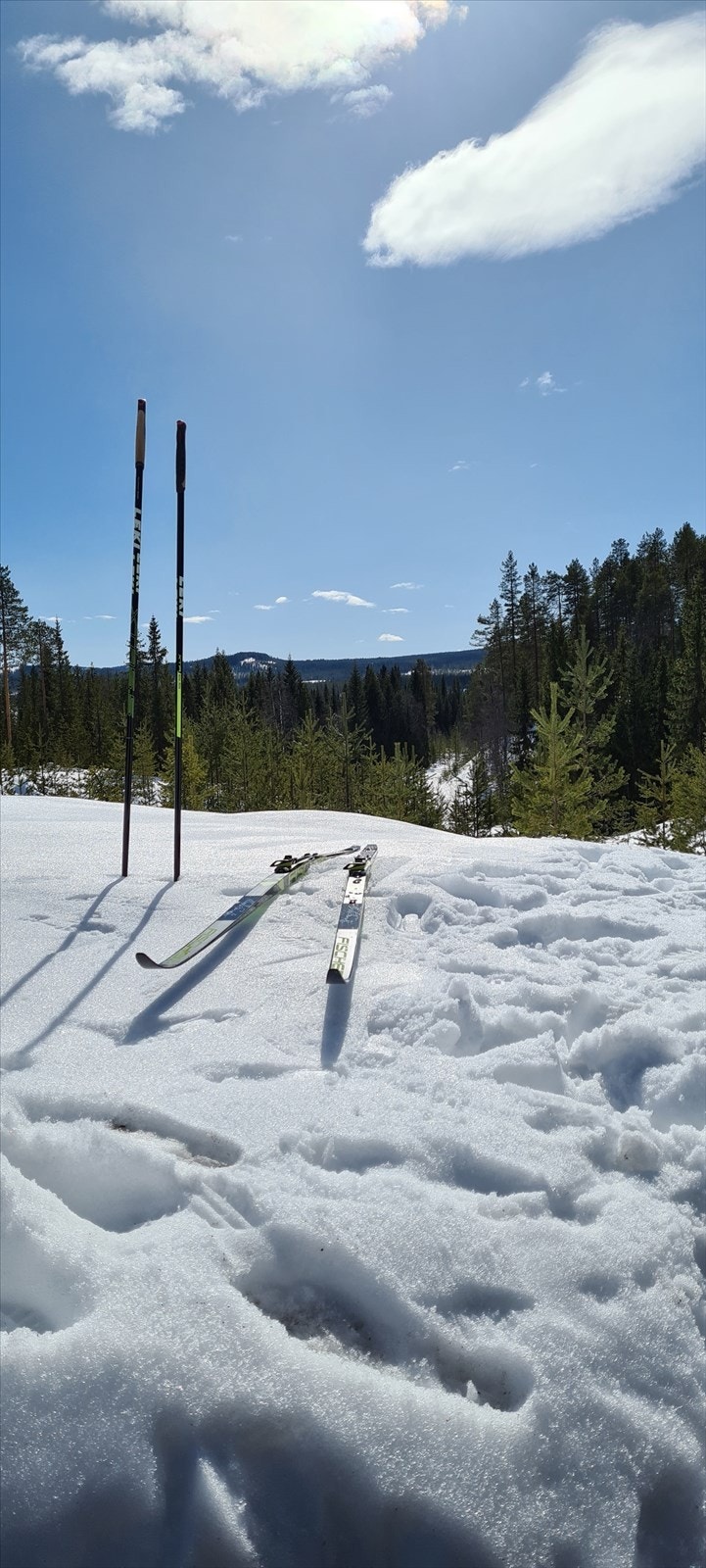Vinter. Privat bilde. Galleribilde