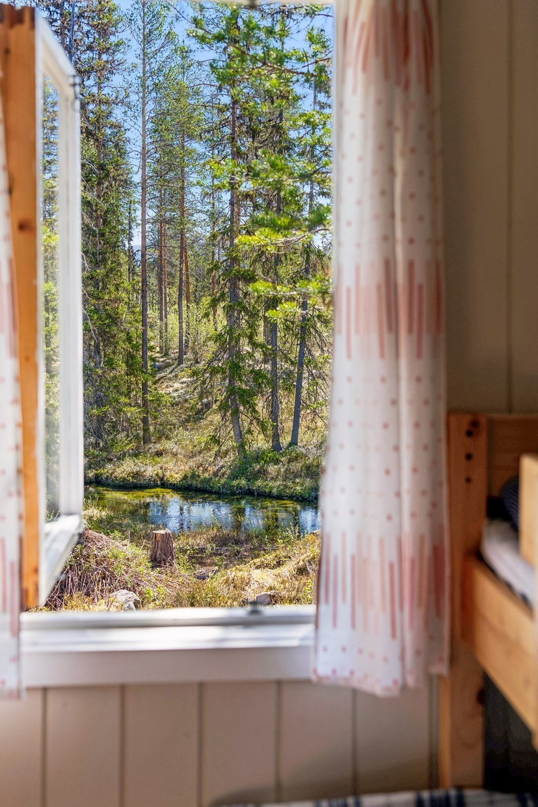 Fra hytta har du utsikt rett ut i skog og mark. Galleribilde