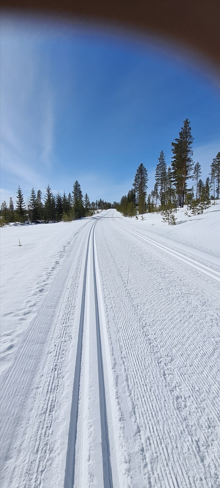 Skiløyper i området. Privat bilde. Galleribilde