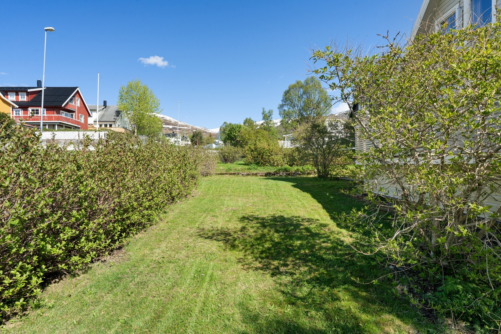 Pent opparbeidet hage med plen og beplantninger.