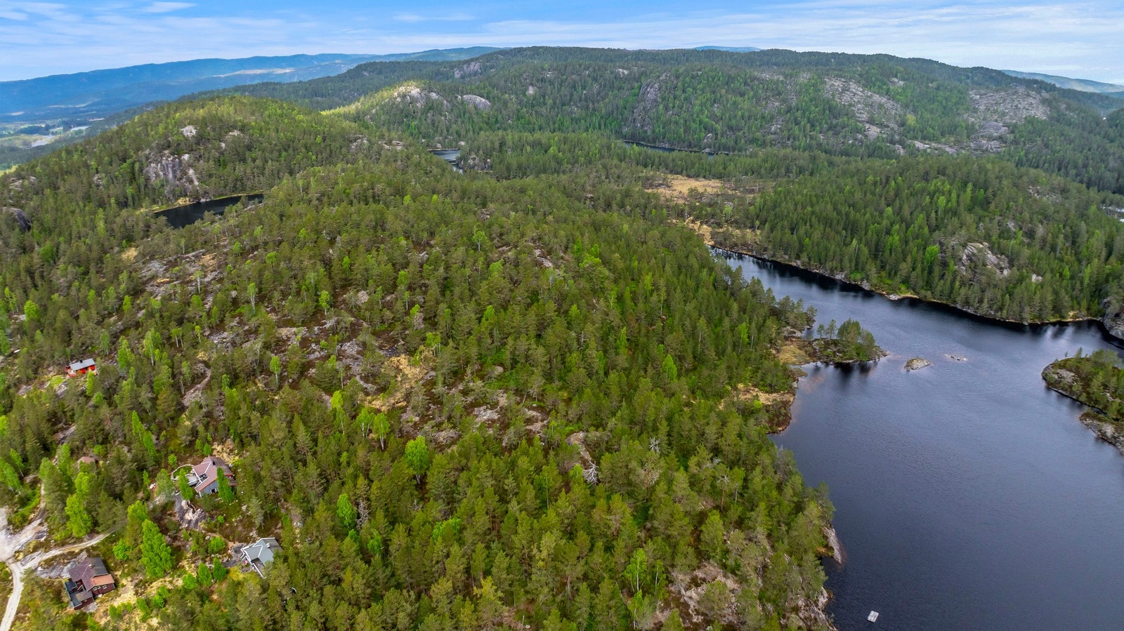 Det er en del tømmer i skogen rundt Borvatn Galleribilde