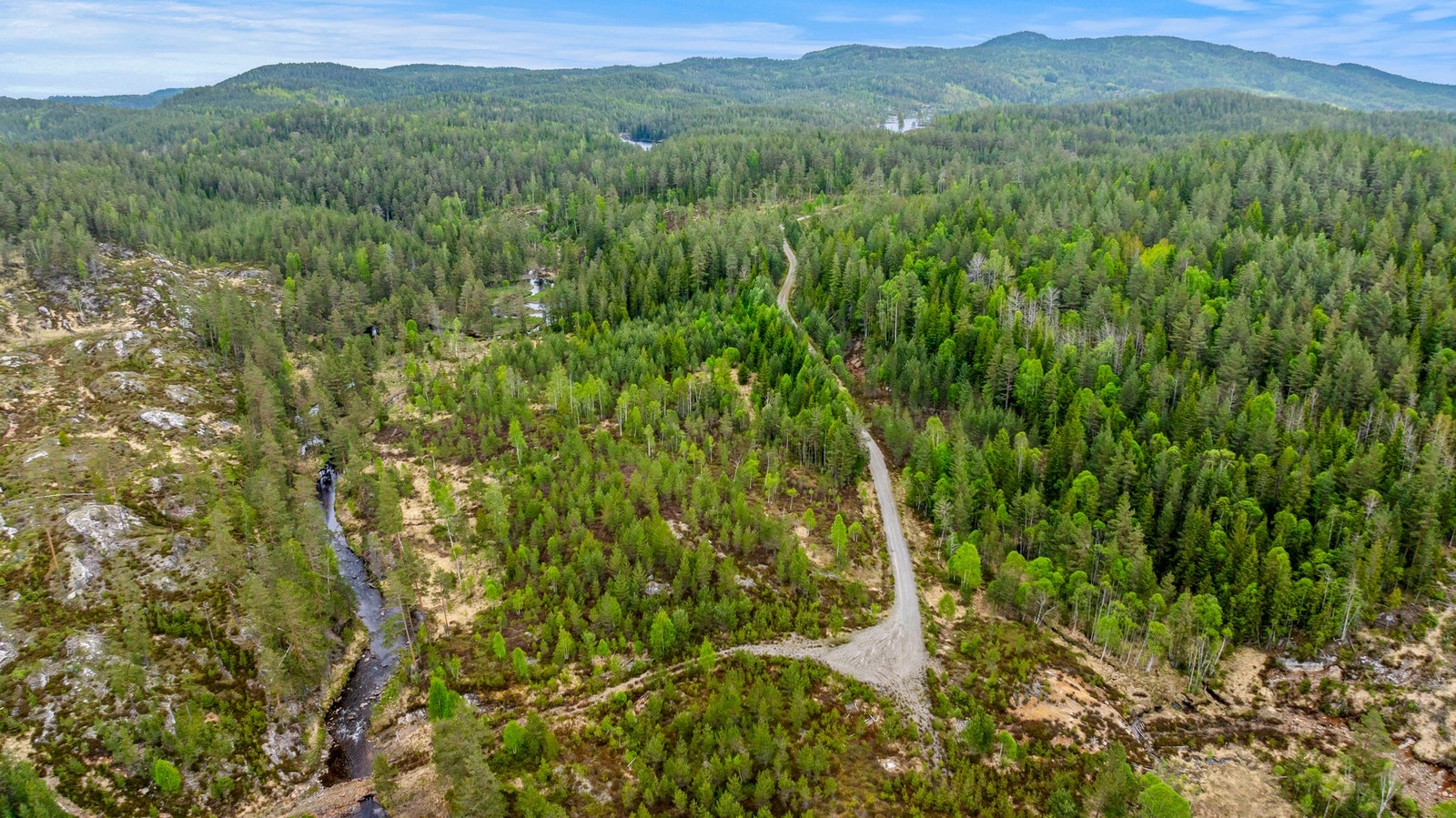 Skogsbilvei frem til hyttene Galleribilde