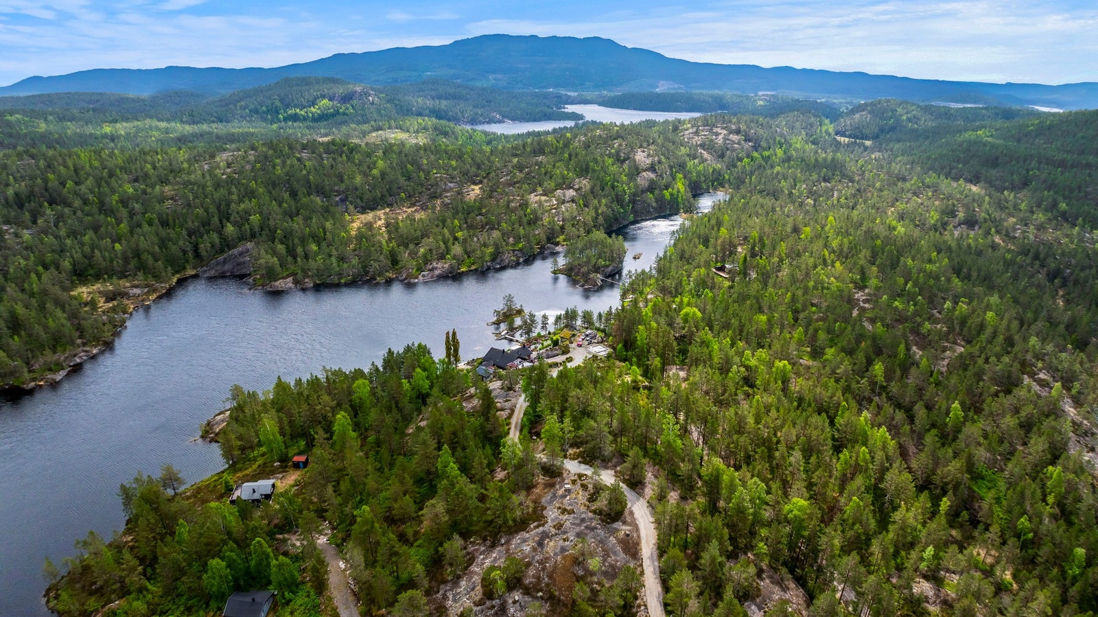 Idyllisk hytteområde med en god del stående tømmer Galleribilde
