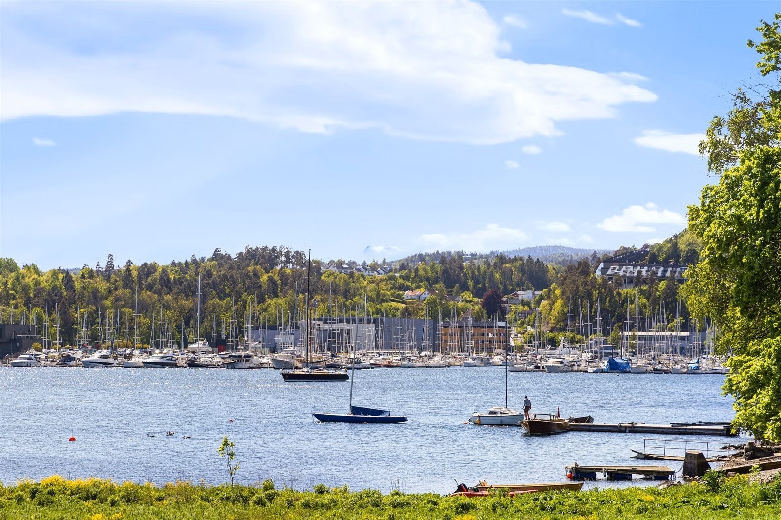 Ta turen til vakre Leangbukta for et forfriskende bad. Galleribilde