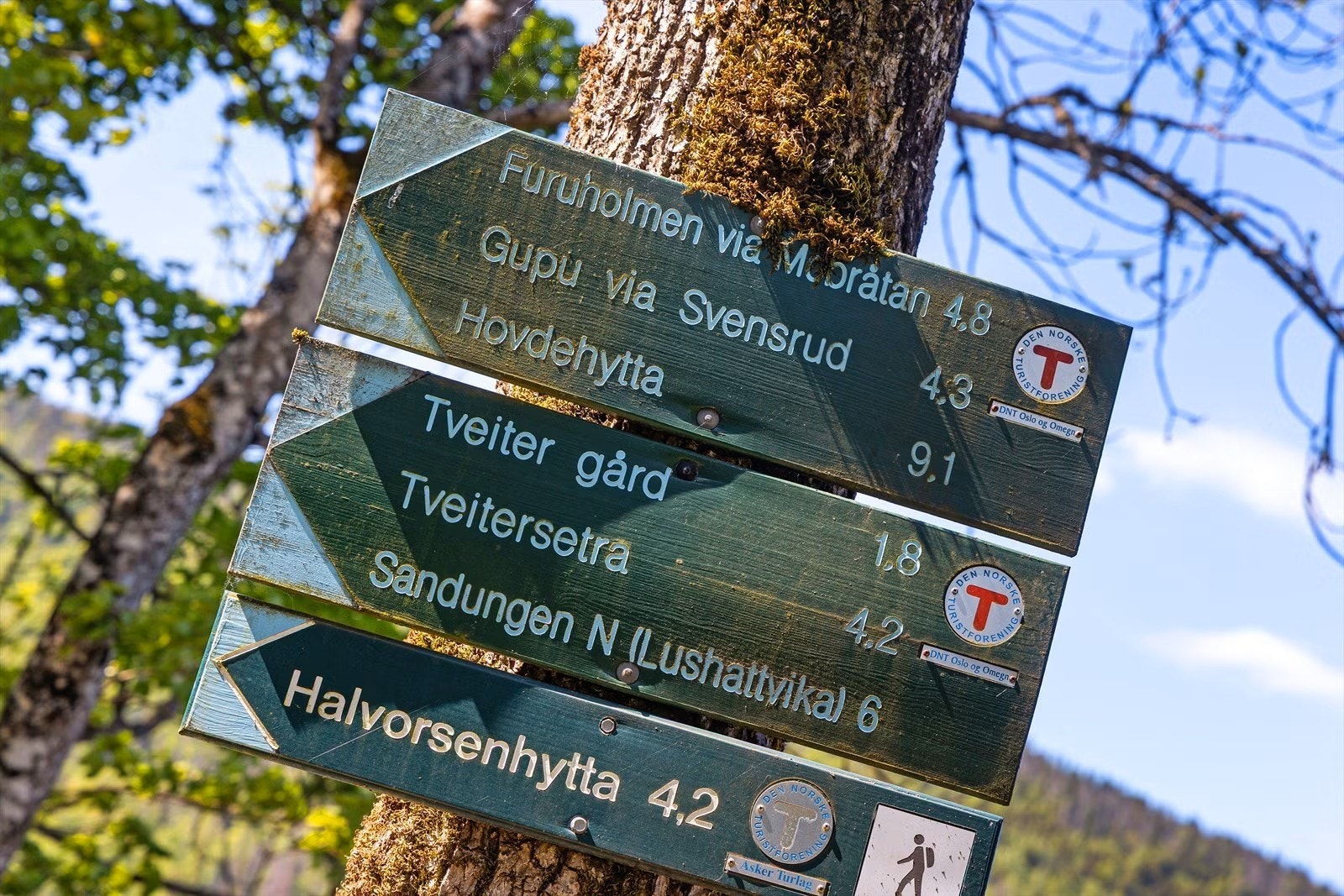 Det er flere turmuligheter i området. Galleribilde