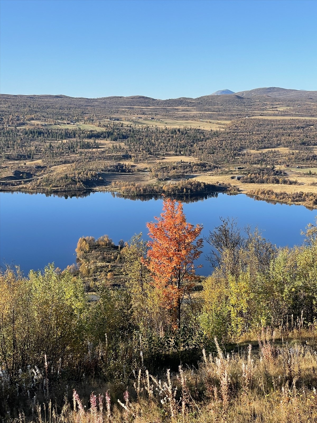 Selger fremhever spesielt den fantastiske utsikten, solforholdene gjennom dagen og kvelden og den skjermede plasseringen. (Selgers foto) Galleribilde