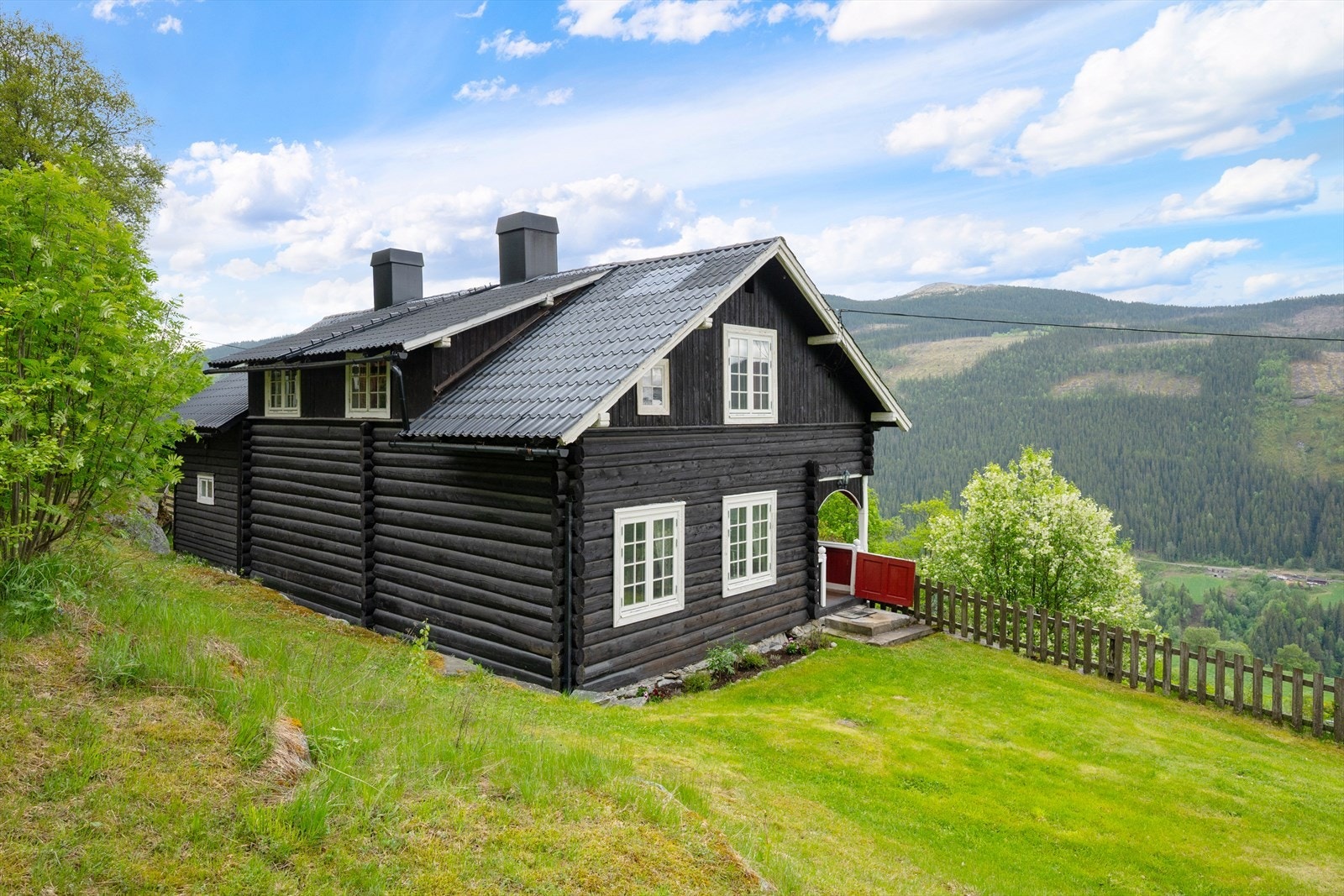 Her er det godt med boltreplass for både to- og firbeinte. Galleribilde