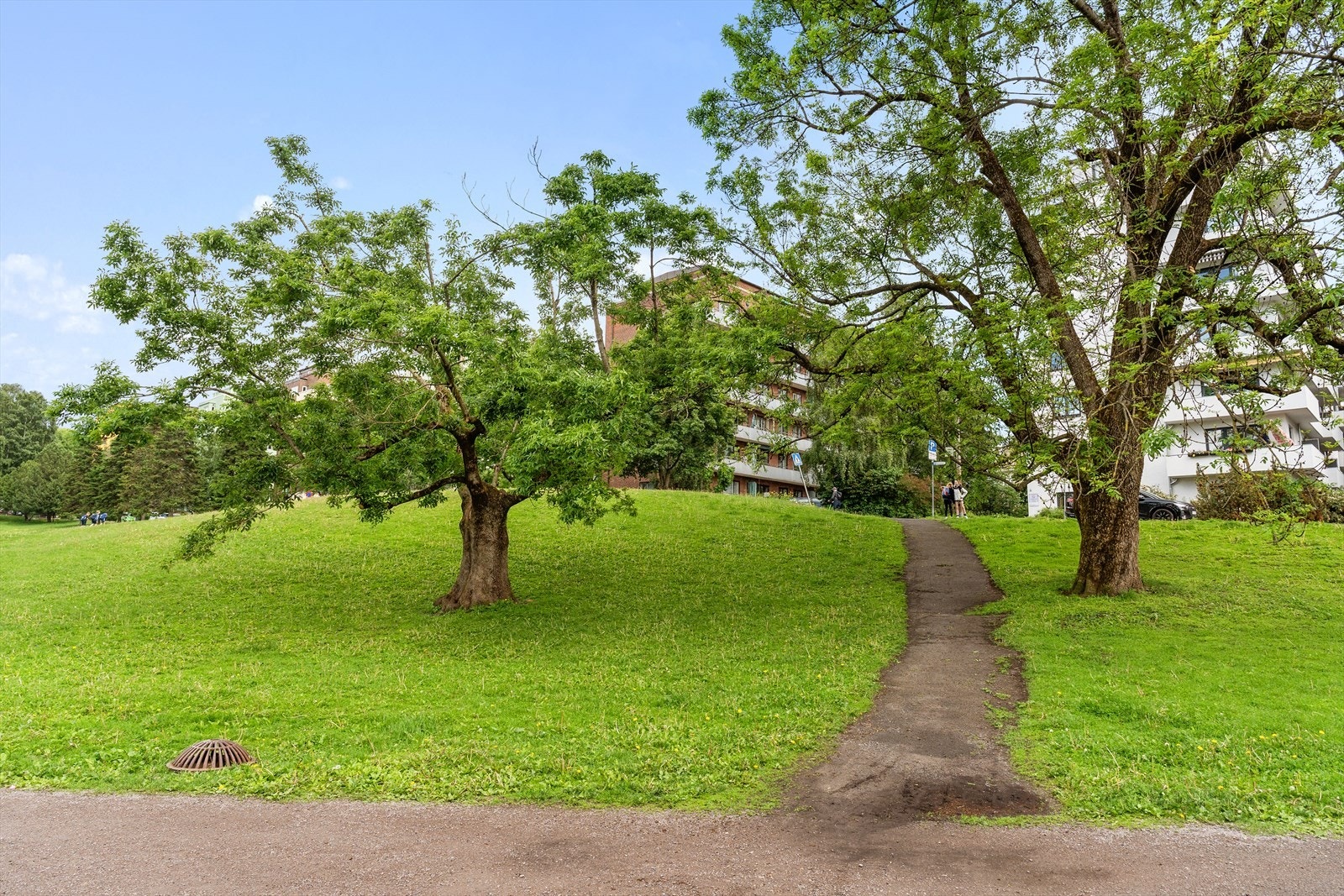 Wilhelm Færdens vei sett fra Marienlystparken. Galleribilde