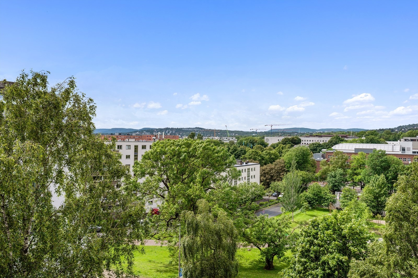 Her bor du ved siden av parken. Galleribilde