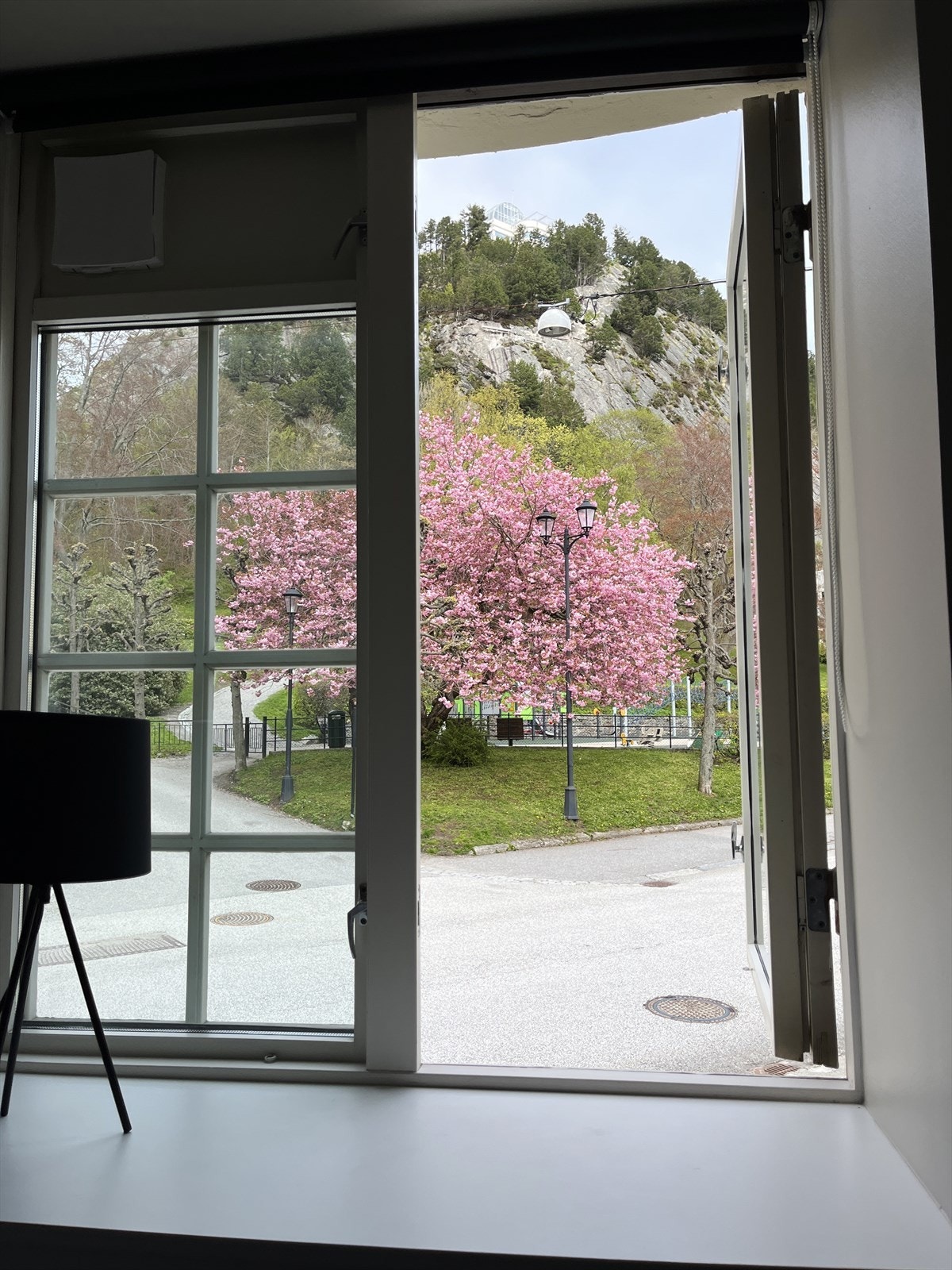 Bilde tatt av selger Galleribilde