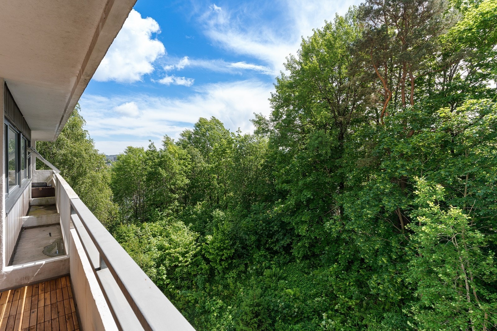 Fritt utsyn til naturen Galleribilde