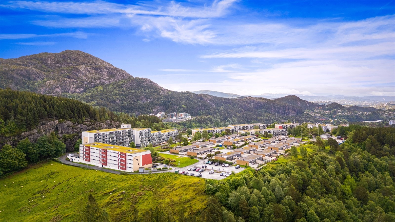 Borettslaget består av 443 andeler og fremstår svært veldrevet. Det bor en god blanding av alle typer aldersgrupper i borettslaget. Galleribilde