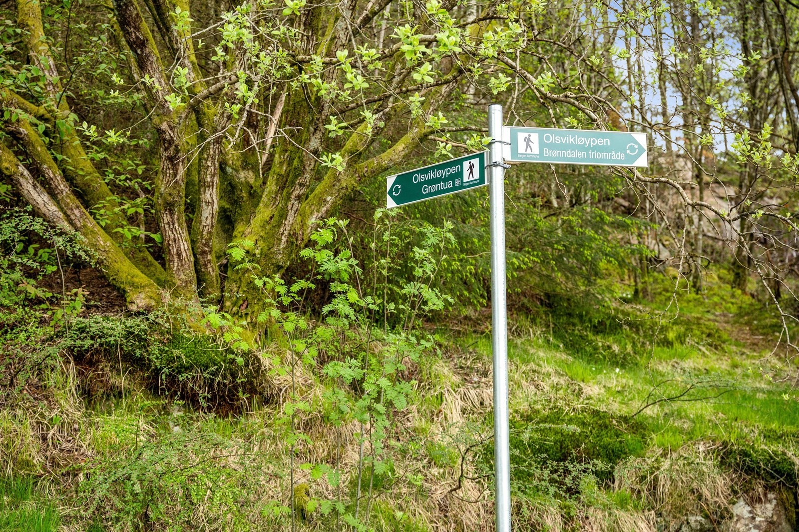 For den aktive er beliggenheten særlig attraktiv. Nærheten til skog og mark gir flotte tur- og friluftsmuligheter, med naturen lett tilgjengelig rett i nærområdet. Galleribilde