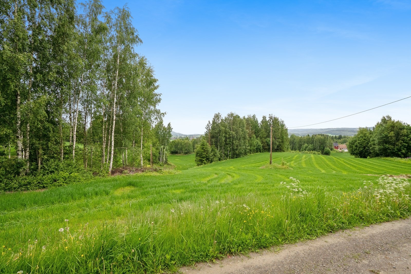 Nærområdet byr på rikelig med turmuligheter sommer som vinter. Galleribilde