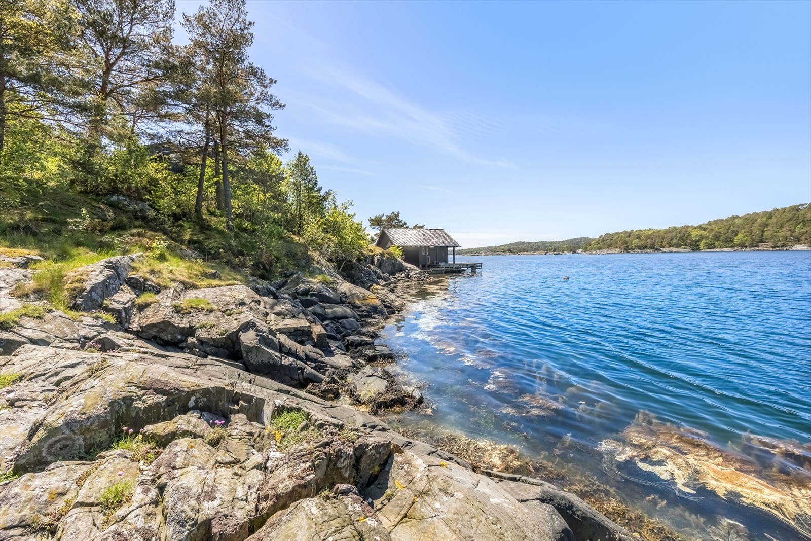 Deler av strandlinjen syd for sjøbua. Galleribilde