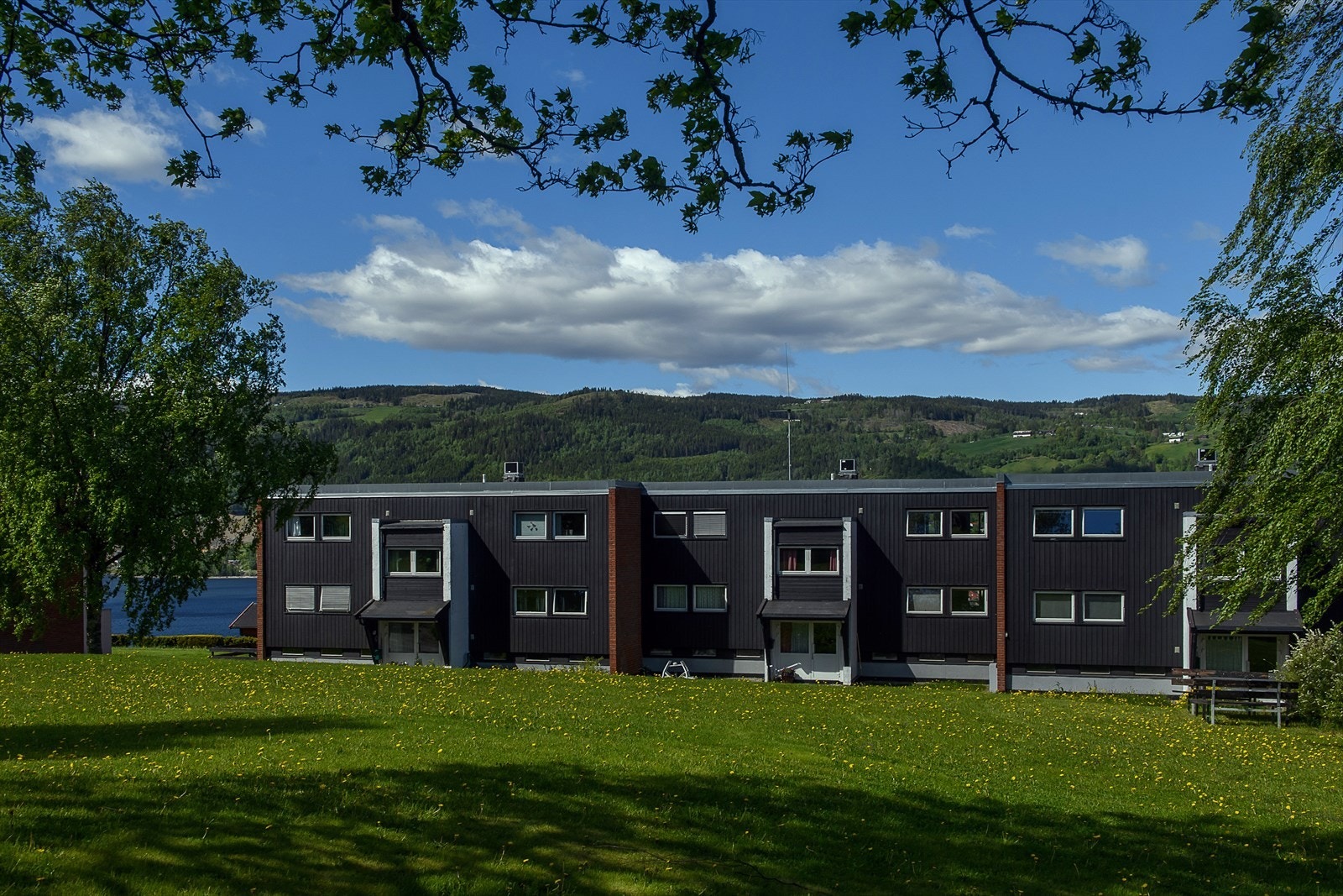 Det er kort veg ned til Mjøsa og Strandpromenaden. Galleribilde
