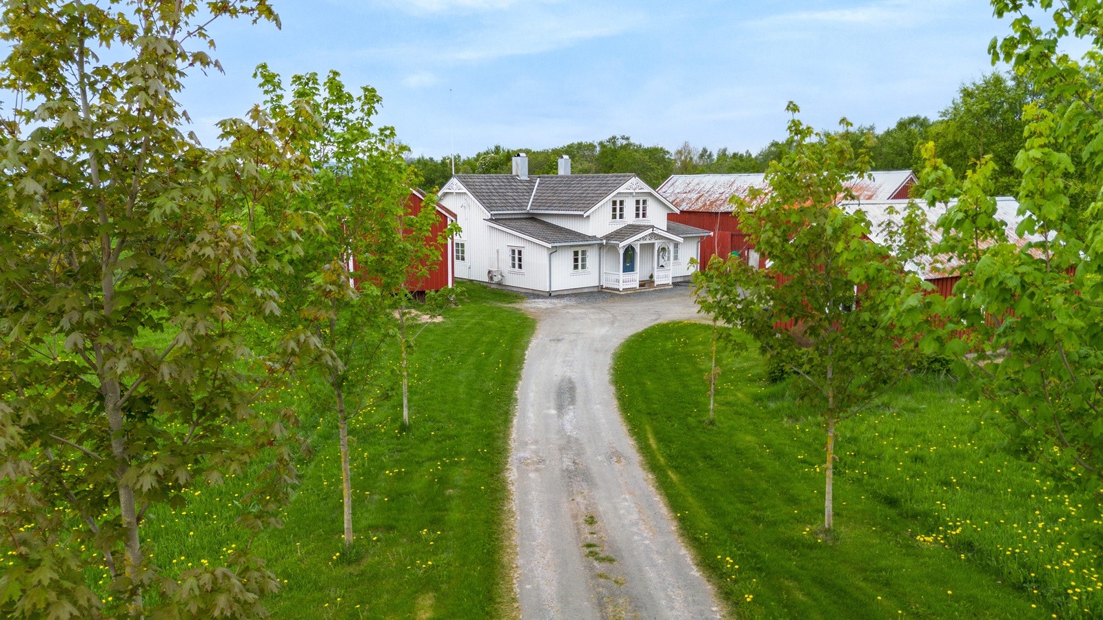 Idyllisk allé ned til eiendommen. Galleribilde
