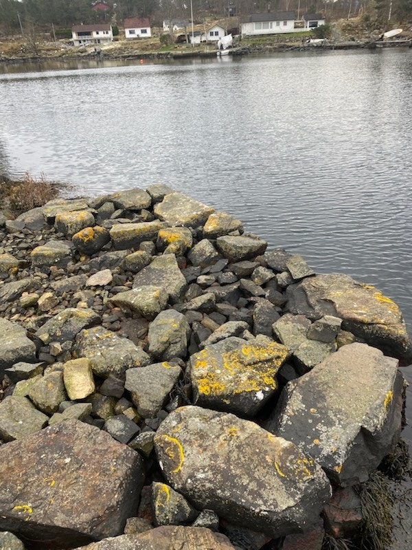 Bruksretten omfatter også fortøyning og opphold for landstedsbåt inntil 17 fot. Galleribilde