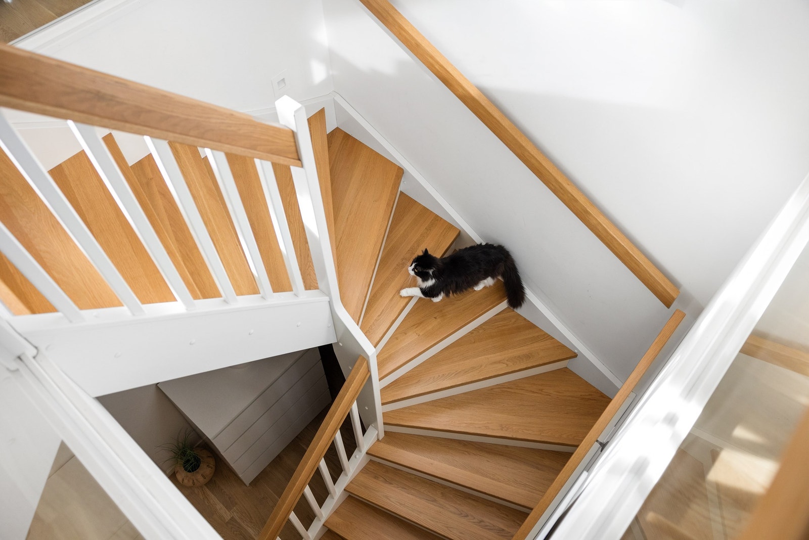 Vi gjør som katten og tar turen til 2. etasje Galleribilde