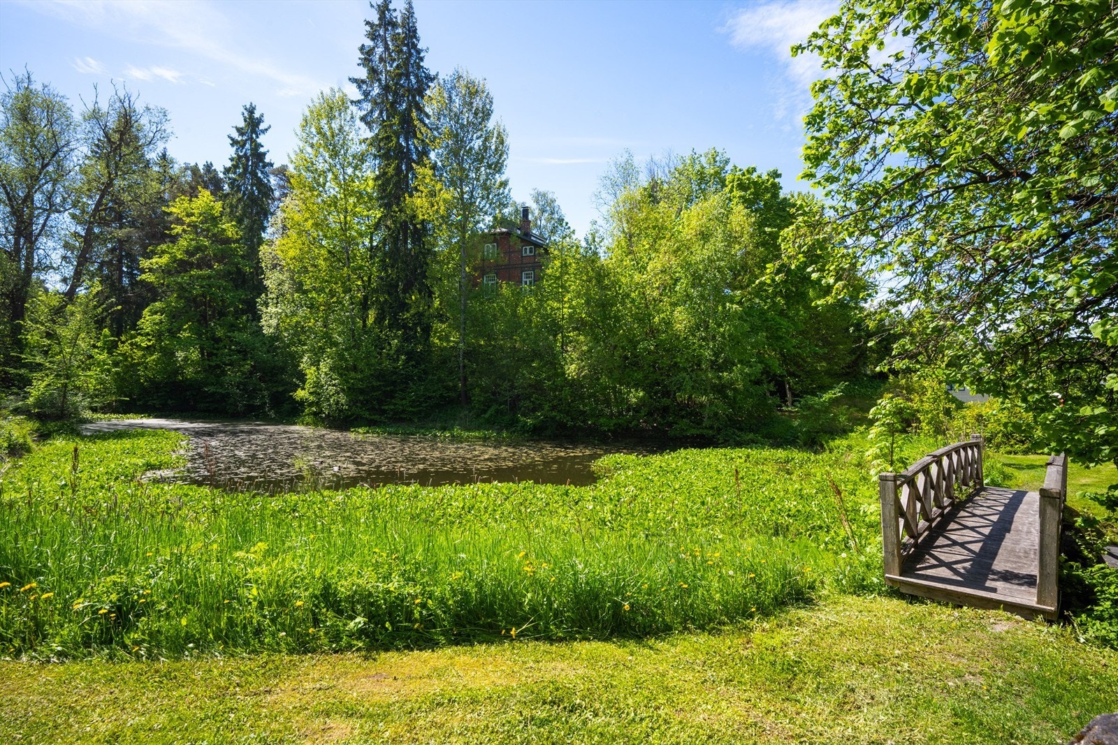 Fine grøntarealer i sameiet. Galleribilde