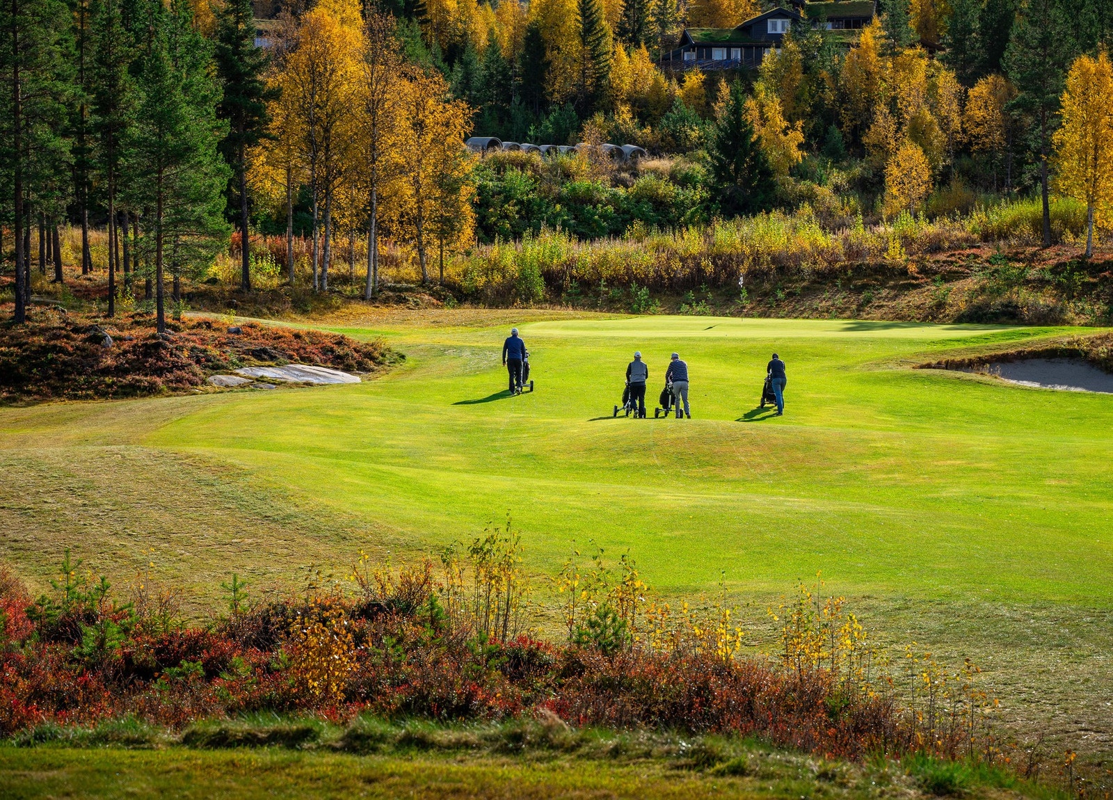 Golf er en populær og sosial aktivitet! Galleribilde