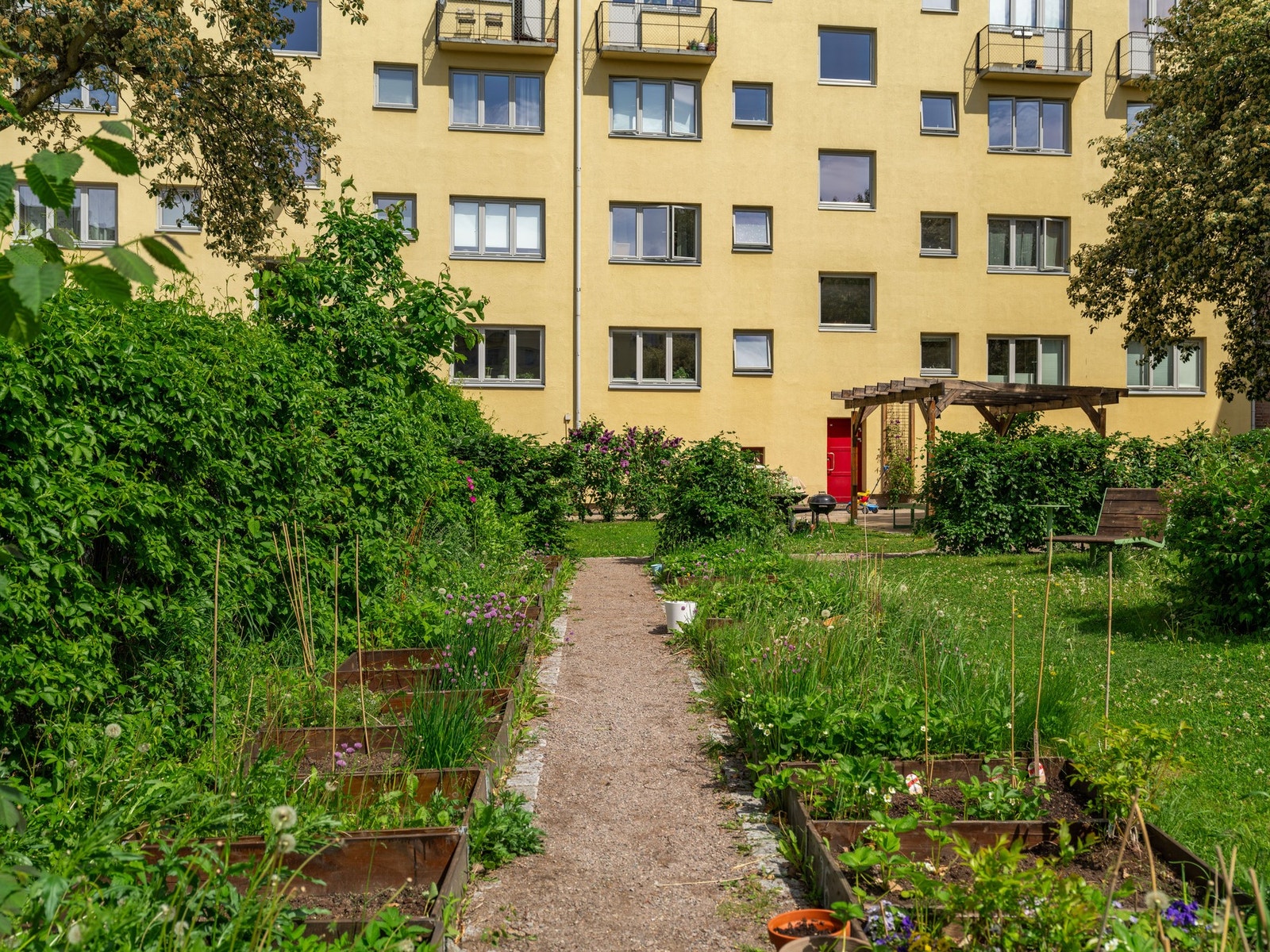 Det er også satt opp plantekasser for beboerne med grønne fingre. Galleribilde