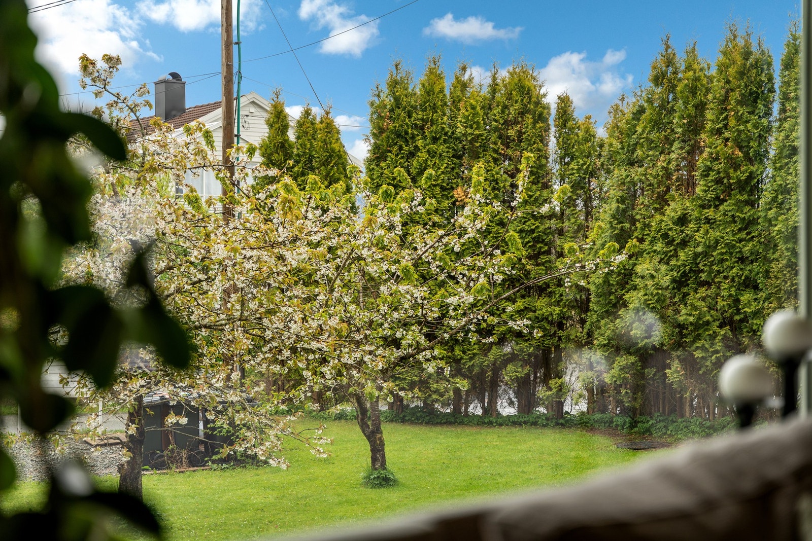 Eiendommen er stor og pent opparbeidet med flott hage og diverse beplanting. Galleribilde
